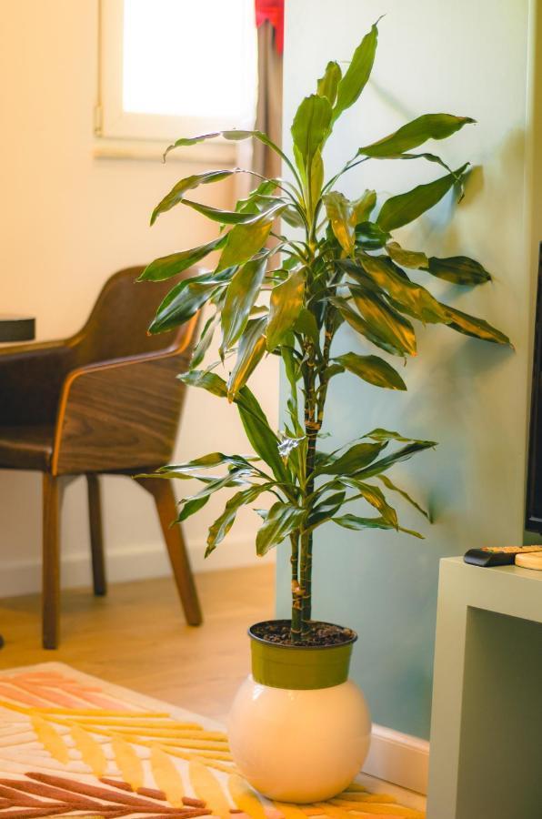Bright Apartment Close To City Center Tirana Exterior foto